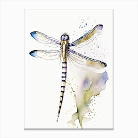Twelve Spotted Skimmer Dragonfly Minimalist Watercolour 1 Canvas Print
