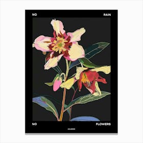 No Rain No Flowers Poster Hellebore 1 Canvas Print