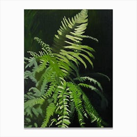 Black Stem Spleenwort Cézanne Style Canvas Print