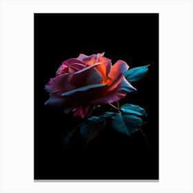 Rose On A Black Background 8 Canvas Print