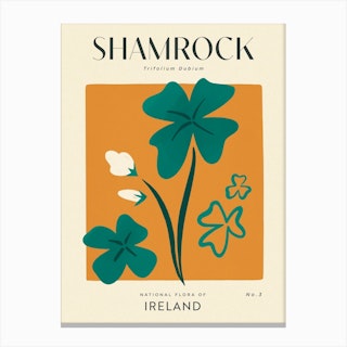 Vintage Orange And Green Shamrock Clover Of Ireland Canvas Print