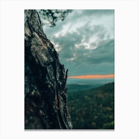 Sunset In The Forest Canvas Print