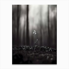 Lily Of The Valley 9 Canvas Print