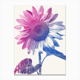 Sunflower In Pink And Blue Canvas Print