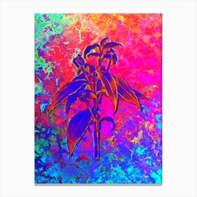 Commelina Zanonia Botanical in Acid Neon Pink Green and Blue n.0194 Canvas Print