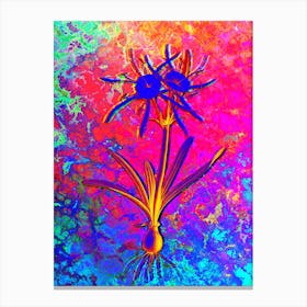 Streambank Spiderlily Botanical in Acid Neon Pink Green and Blue n.0169 Canvas Print