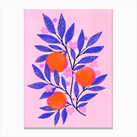 Orange Branch Canvas Print