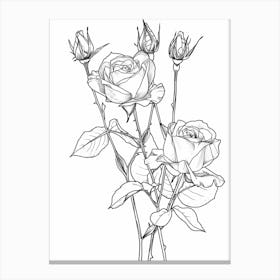 Roses Sketch 60 Canvas Print