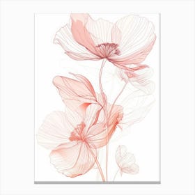 Poppy Flowers Canvas Print