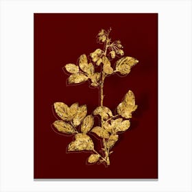 Vintage Andromeda Mariana Branch Botanical in Gold on Red n.0411 Canvas Print