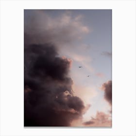 Birds at Flight Canvas Print