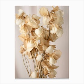 Boho Dried Flowers Sweet Pea 3 Canvas Print