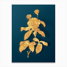 Vintage Agatha Rose in Bloom Botanical in Gold on Teal Blue n.0160 Canvas Print