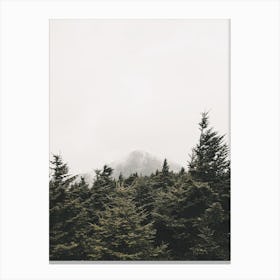Pine Trees And Mountain Peak Canvas Print