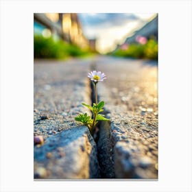 Concrete Garden Discover A Tiny Wildflower Bravel Canvas Print