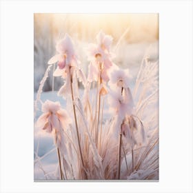 Frosty Botanical Orchid 4 Canvas Print