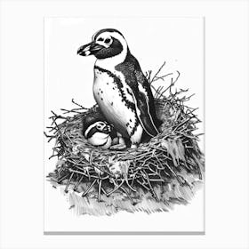 African Penguin Nesting 3 Canvas Print