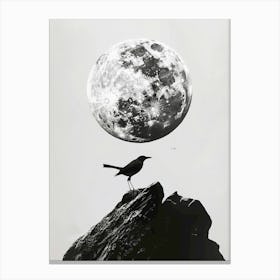 Bird On A Rock Canvas Print