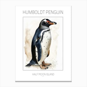 Humboldt Penguin Half Moon Island Watercolour Painting 4 Poster Canvas Print