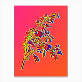 Neon Caragana Sinica Botanical in Hot Pink and Electric Blue n.0001 Canvas Print