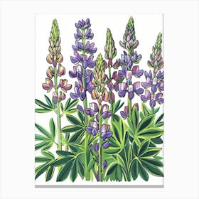 Lupines 3 Canvas Print