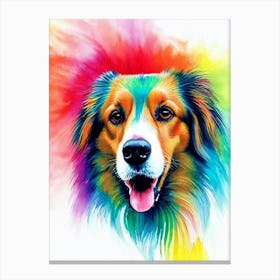 Collie Rainbow Oil Painting dog Canvas Print