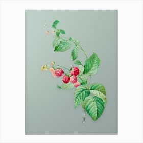 Vintage Red Berries Botanical Art on Mint Green Canvas Print