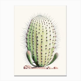 Acanthocalycium Cactus Marker Art 2 Canvas Print