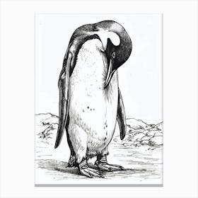 Emperor Penguin Grooming Their Feathers 1 Canvas Print