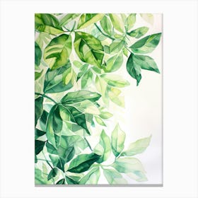 Watercolor Of Green Leaves Canvas Print