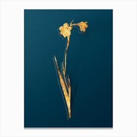 Vintage Sword Lily Botanical in Gold on Teal Blue n.0225 Canvas Print