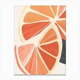 Grapefruits Close Up Illustration 5 Canvas Print