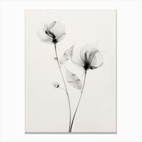 Transparent Botanic No 7 Canvas Print