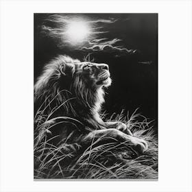 African Lion Charcoal Drawing Resting In The Sun 4 Canvas Print