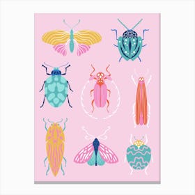 Beetle Collection Canvas Print