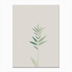 Hemp Herb Simplicity Canvas Print