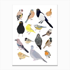 Uk Birds Canvas Print