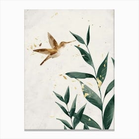 Hummingbird 18 Canvas Print