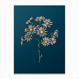 Vintage Lilac Senecio Flower Botanical Art on Teal Blue n.0314 Canvas Print
