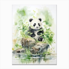 Panda Art Painting Watercolour 1 Canvas Print
