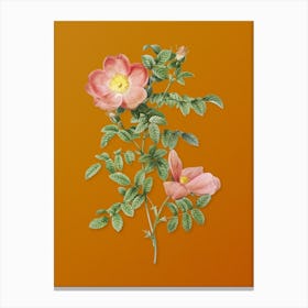 Vintage Red Sweetbriar Rose Botanical on Sunset Orange n.0632 Canvas Print