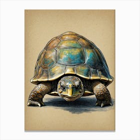 Turtle Print Canvas Print