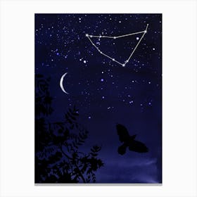 Starry Night and Moon #5 Canvas Print