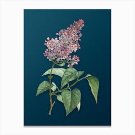 Vintage Common Pink Lilac Plant Botanical Art on Teal Blue n.0667 Canvas Print