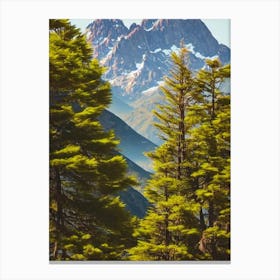 Nahuel Huapi National Park Argentina Vintage Poster Canvas Print