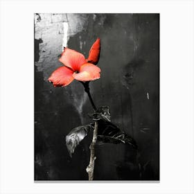 Red Flower Canvas Print