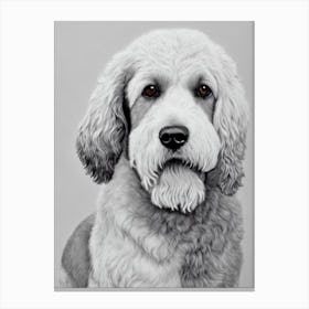 Irish Water Spaniel B&W Pencil dog Canvas Print