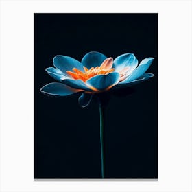 Lotus Flower 24 Canvas Print