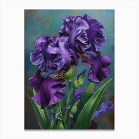 Iris Fl 3 Canvas Print