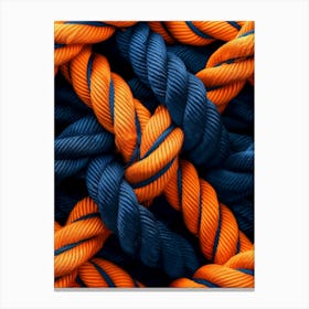 Blue And Orange Ropes Canvas Print